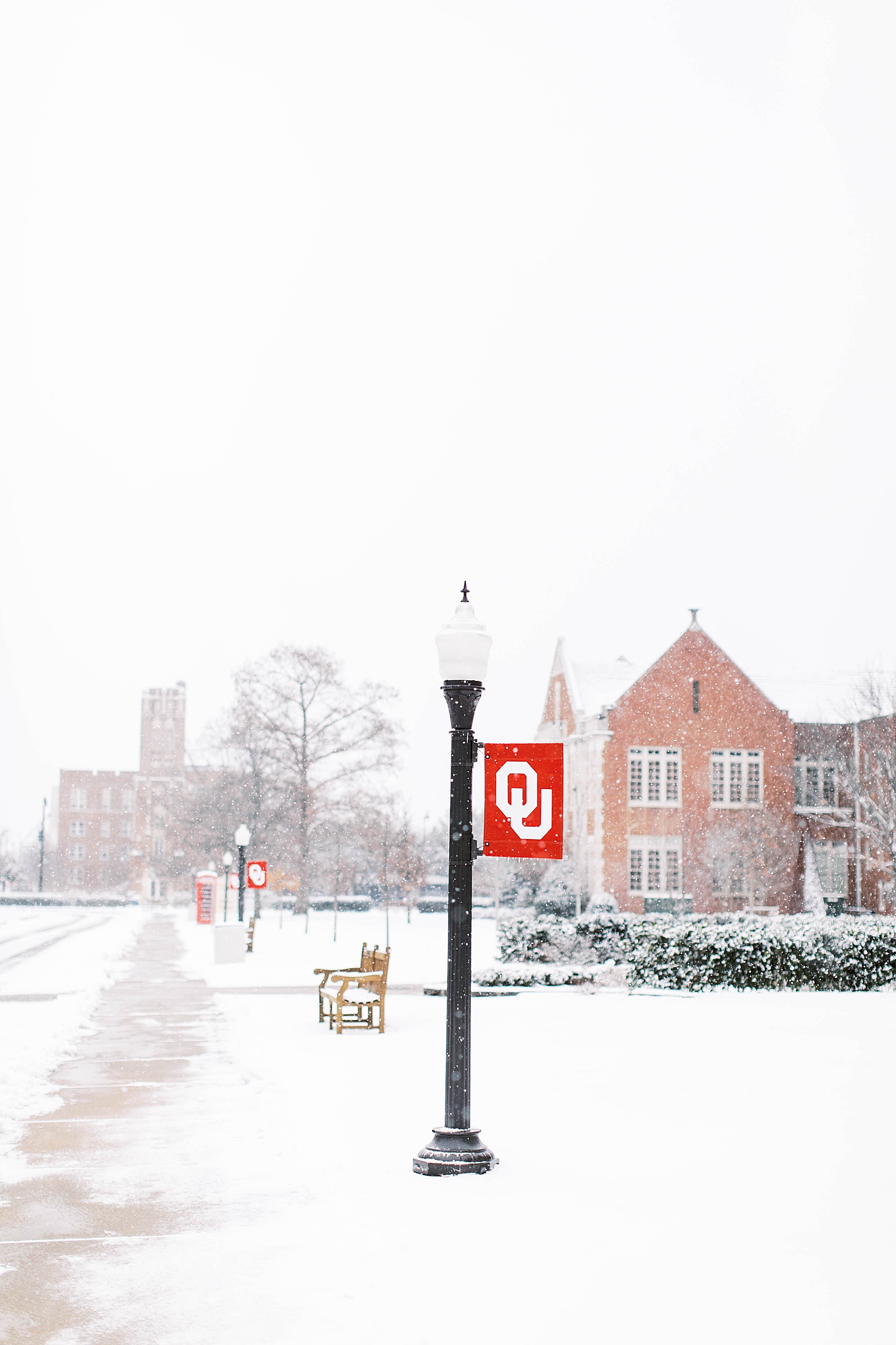 ou flag in the snow
