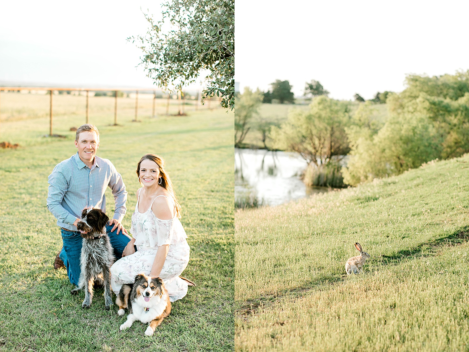 couple poses for maternity photos with dogs in el reno oklahoma