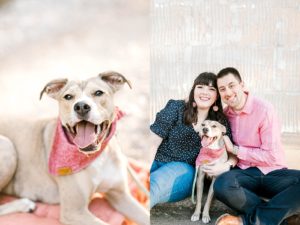 family photos of couple with dog